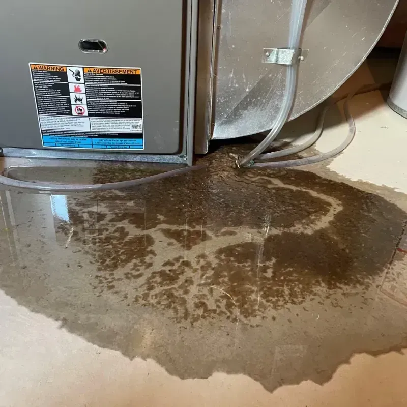 Appliance Leak Cleanup in Citrus Ridge, FL